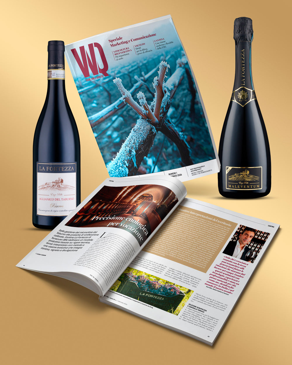 Articolo su VVQ - Vigne, Vini e Qualità - Gennaio 2026